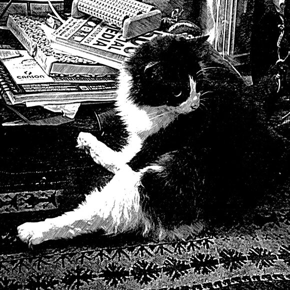 Meet your Posher, Caeli - Picture 13 of 16